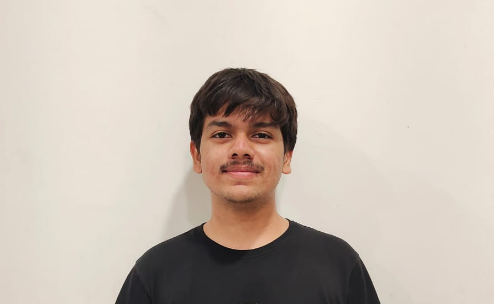 Lead Developer